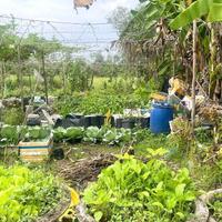 CẦN BÁN 250M2 ĐẤT THỔ CƯ HẺM BA GÁC GẦN QL1A