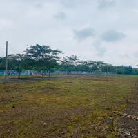 Sở Hữu Ngay Lô Đất Vàng Dự Án 