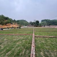 Hơn 300 triệu – sở hữu đất sát hà nội