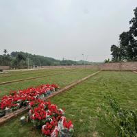 Hơn 300 triệu – sở hữu đất sát hà nội