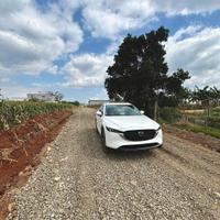 Bán đất 130m2 tổ 34 liên nghĩa - Đức Trọng - Lâm Đồng 1 tỷ 650 triệu