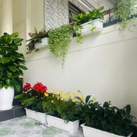 Nhà Ngọc Hội – Đường 2 Ô Tô Tránh – 74m² – Chỉ 3.25 Tỷ – Có Dòng Tiền