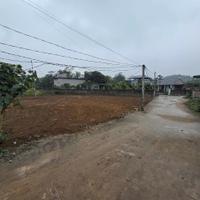 hơn 300 triệu – đất thị trấn ba hàng đồi, sổ sẵn
