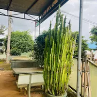 NHÀ ĐẤT QUẢNG LẬP – GẦN CHỢ – 2 MẶT TIỀN