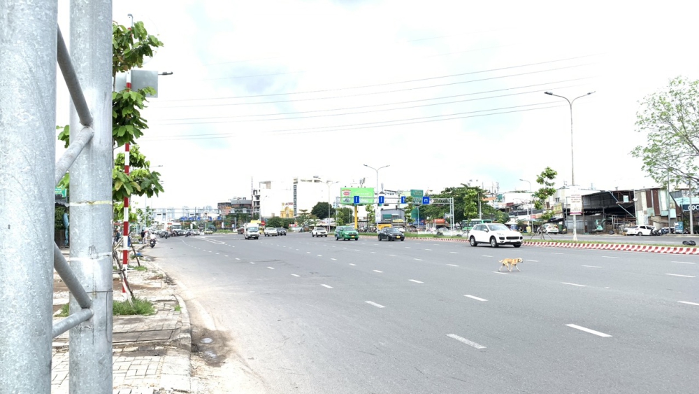 CHO THUÊ VĂN PHÒNG GIÁ RẺ ĐƯỜNG NGUYÊN VĂN LINH VÀ KCX TÂN THUẬN QUẬN 7